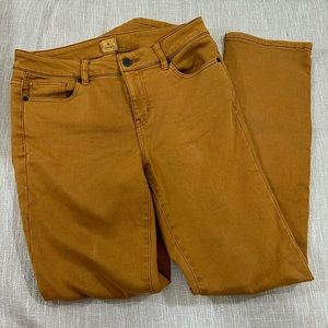 Dressbarn Burnt Orange/Mustard Yellow Cotton Blend All Day Stretch Jeans Size 2